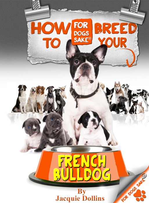 How to Breed your French Bulldog Responsibly