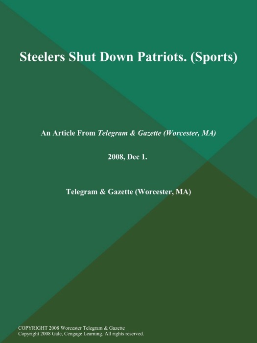 Steelers Shut Down Patriots (Sports)