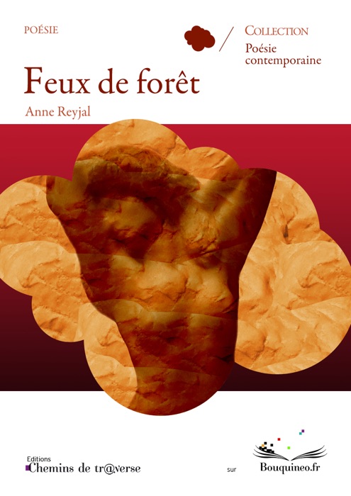 Feux de forêt