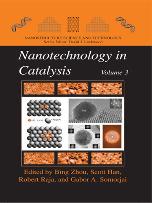 Nanotechnology in Catalysis 3