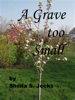A Grave Too Small - Sheila Jecks