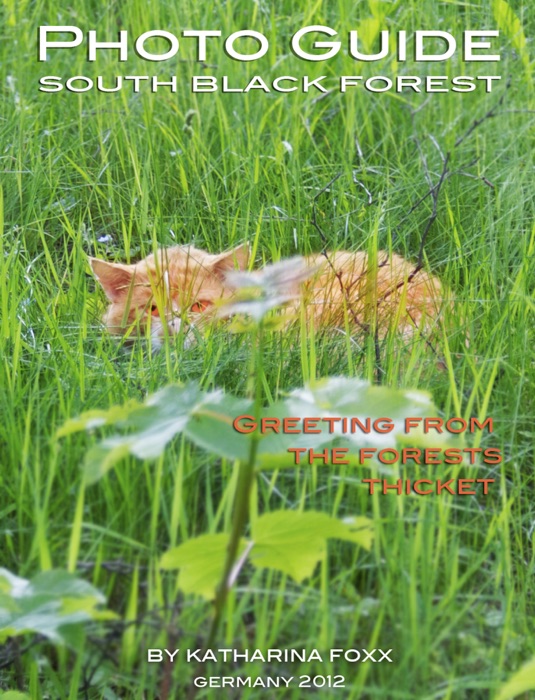 (DOWNLOAD) 