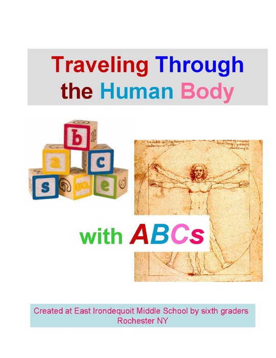 Traveling through the Human Body with ABCs