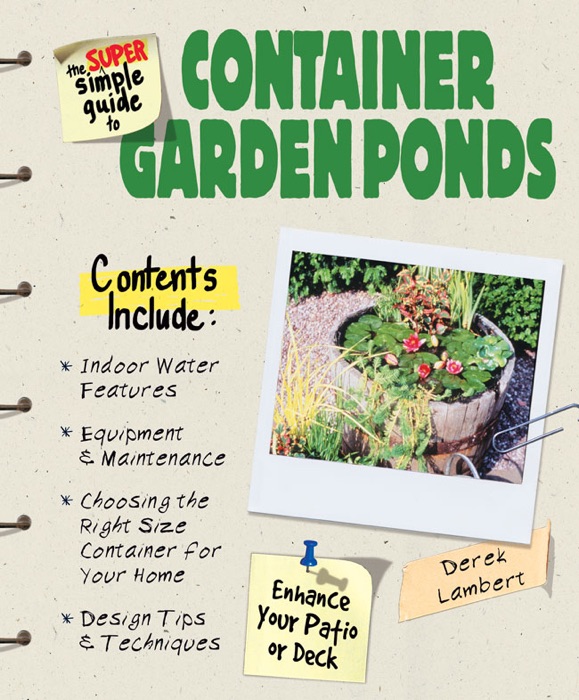 Super Simple Guide to Container Garden Ponds