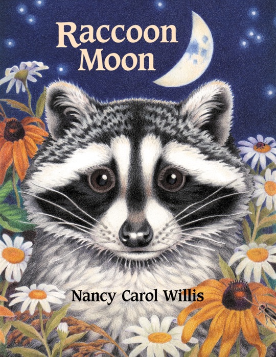 Raccoon Moon