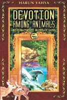 Devotion Among Animals Revealing the Work of God