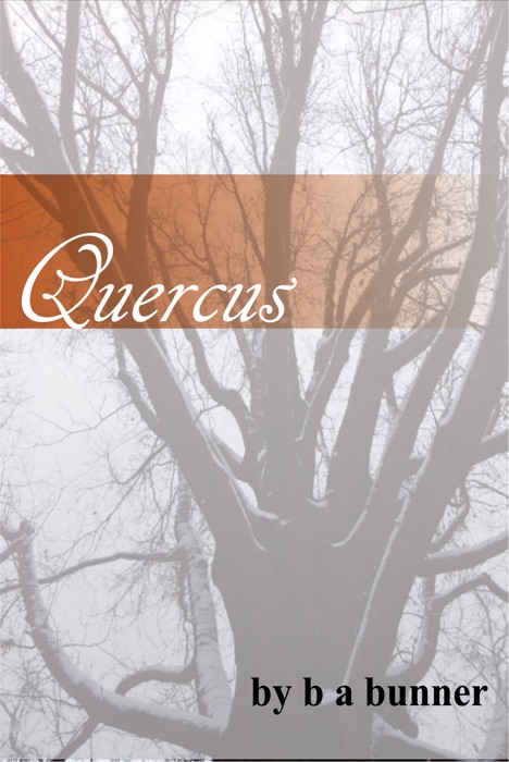 Quercus