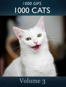 1000 GIFs 1000 Cats - Maxim Aleshin