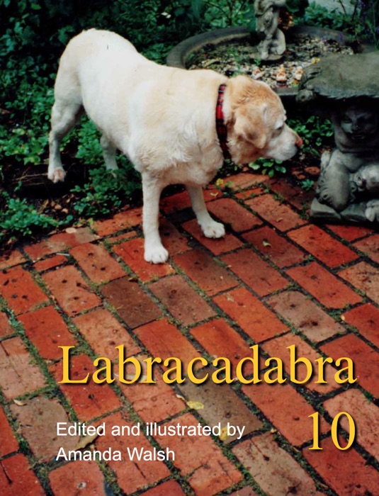 Labracadabra 10