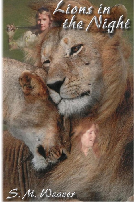 Lions In the Night