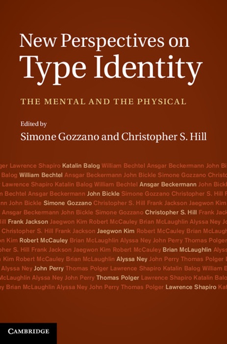 New Perspectives on Type Identity