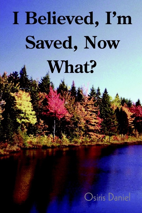 I Believed, I'm Saved, Now What?