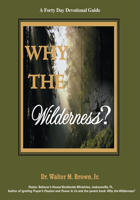 Why The Wilderness: A Forty Day Devotional Guide