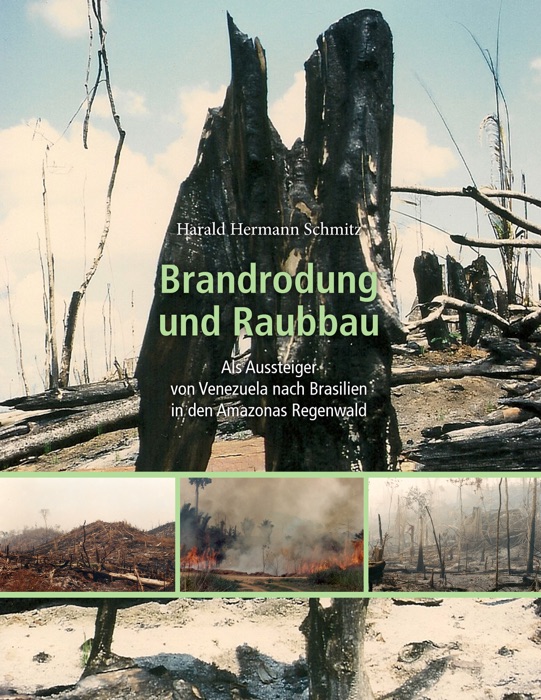 Brandrodung and Raubbau