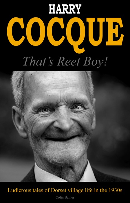 Harry Cocque