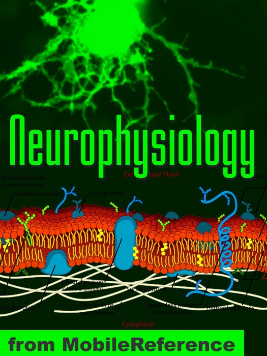 Neurophysiology Study Guide