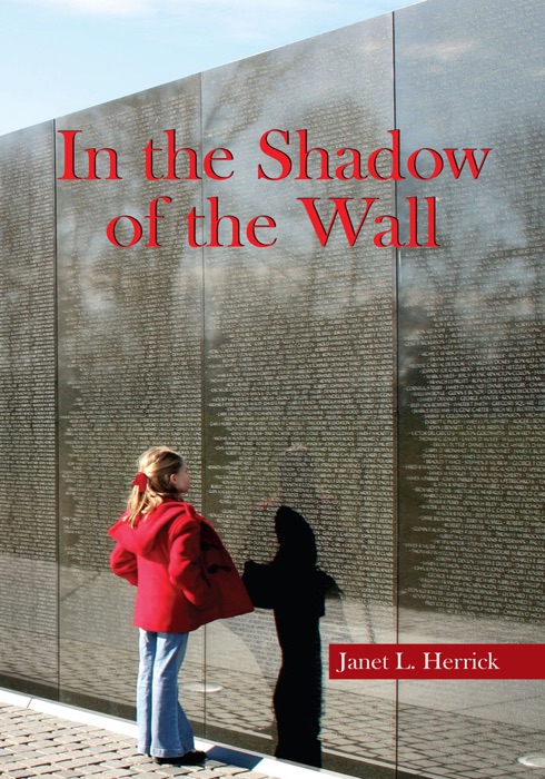 In The Shadow Of The Wall