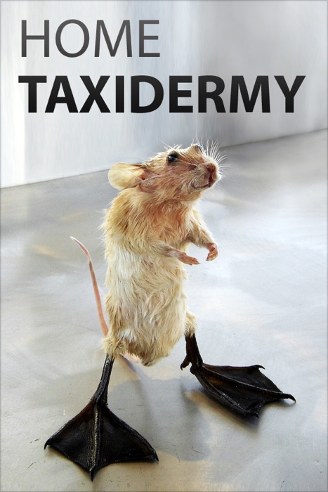 Home Taxidermy