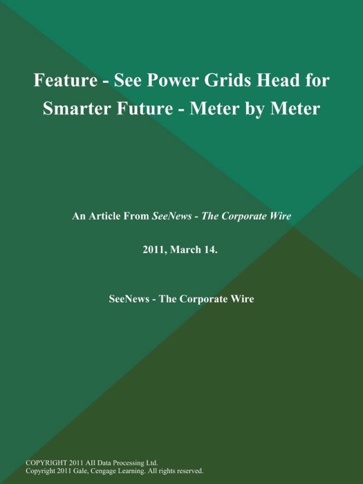 Feature - See Power Grids Head for Smarter Future - Meter by Meter