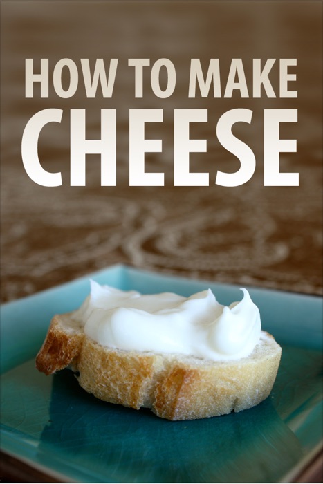How to Make Cheese