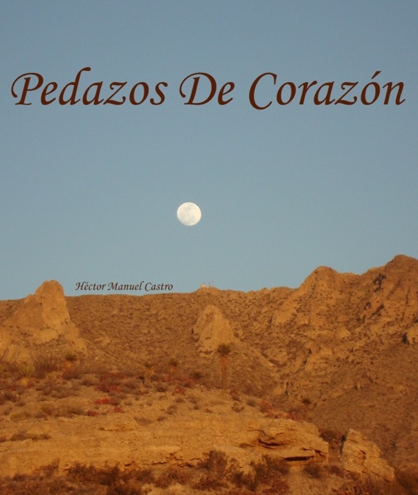 Pedazos de Corazón