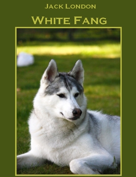 White Fang (Illustrated)
