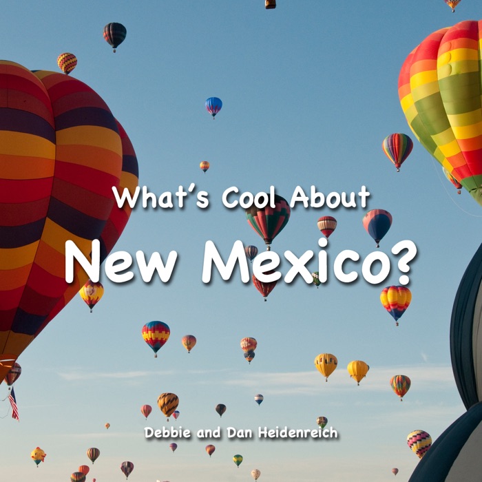 What's Cool About New Mexico?