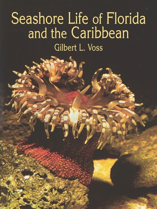 Seashore Life of Florida and the Caribbean