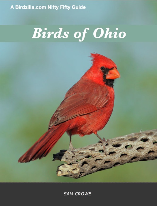 Birds of Ohio