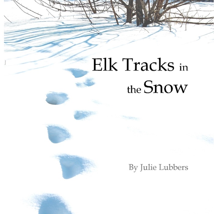 Elk Tracks In the Snow