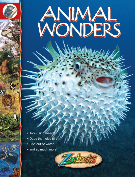 Animal Wonders