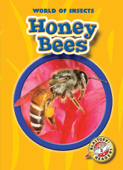 Honey Bees - Colleen Sexton