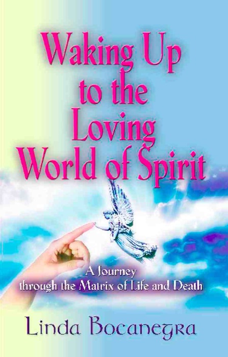 WAKING UP TO THE LOVING WORLD OF SPIRIT: A Journey Through the Matrix of Life and Death