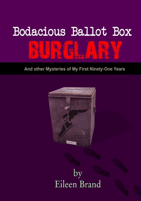 Bodacious Ballot Box Burglary