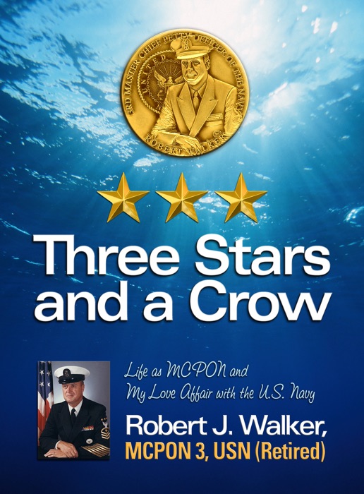 Three Stars and a Crow