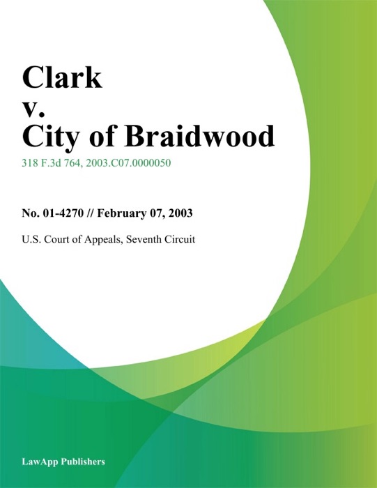 Clark v. City of Braidwood