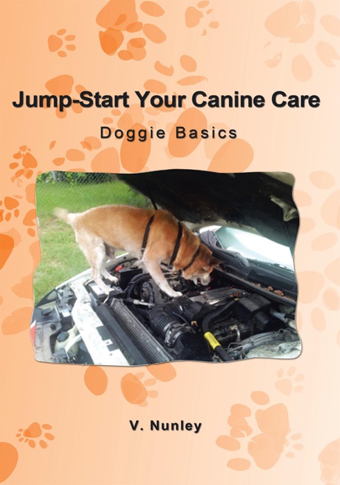 Jump-Start Your Canine Care