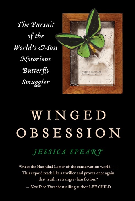 Winged Obsession