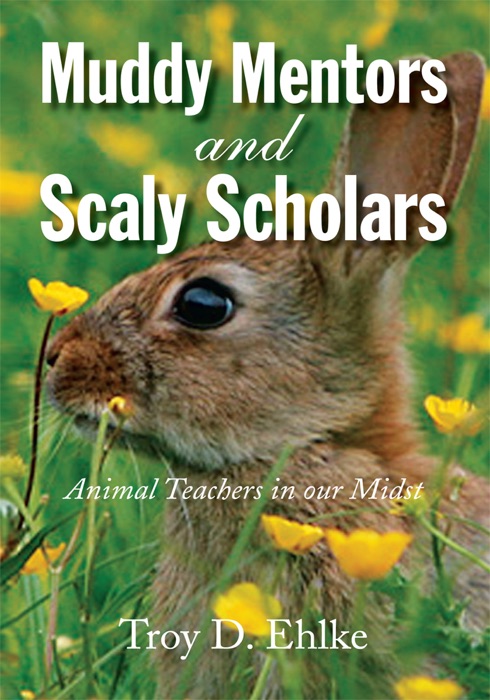 Muddy Mentors And Scaly Scholars