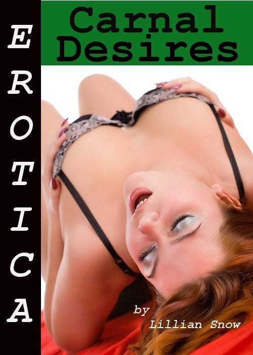 Erotica: Carnal Desires, Story Taster