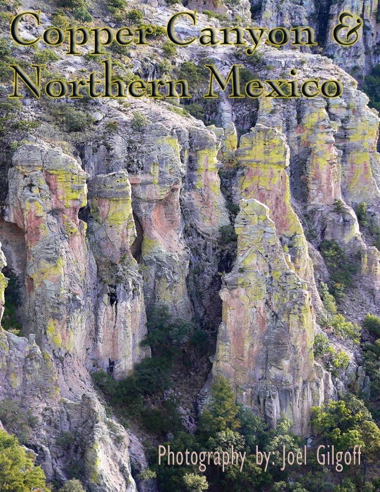 Copper Canyon & Northern Mexico