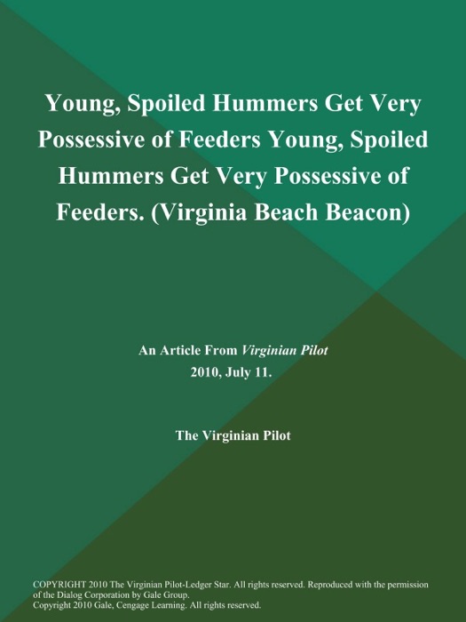 Young, Spoiled Hummers Get Very Possessive of Feeders Young, Spoiled Hummers Get Very Possessive of Feeders (Virginia Beach Beacon)