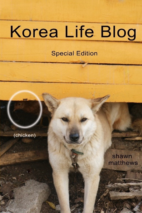 Korea Life Blog