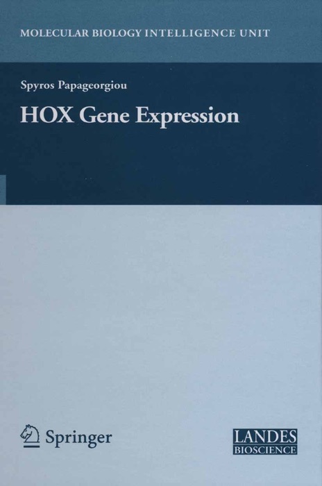 HOX Gene Expression