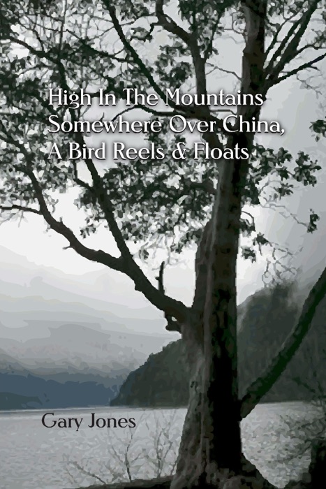 High in the Mountains Somewhere over China, a Bird Reels & Floats