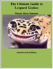 The Ultimate Guide to Leopard Geckos - Phoenix Hayes Simmons