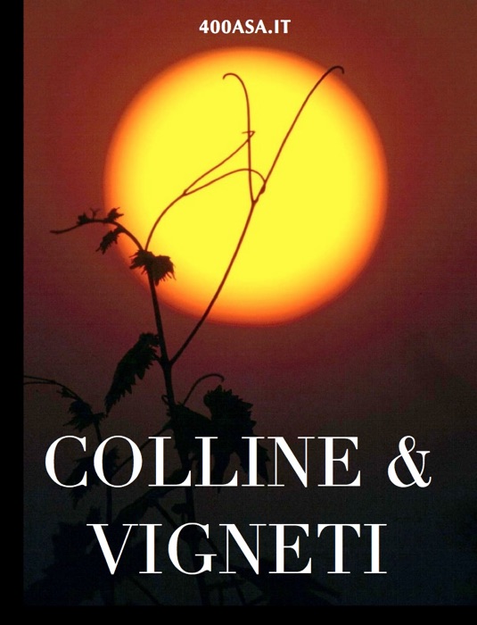 Colline & vigneti