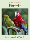 Parrots - Winktolearn & Virtual GS