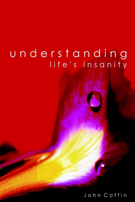 Understanding Life's Insanity