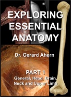 Exploring Essential Anatomy: Part 1
